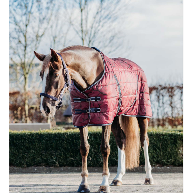 QHP Stable Rug Start Collection 200g - Saddlery-1